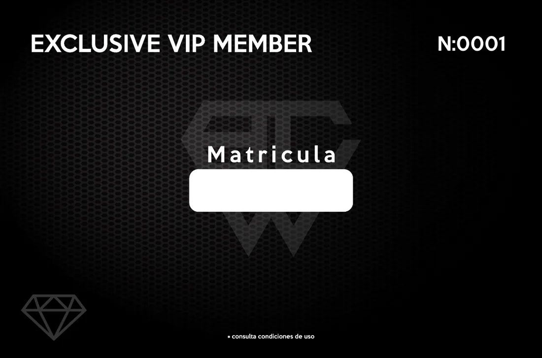 Reverso de la tarjeta VIP: Exclusive VIP Member, número de socio y espacio para la matrícula